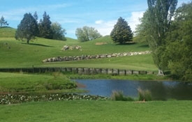 Piopio Golf Club